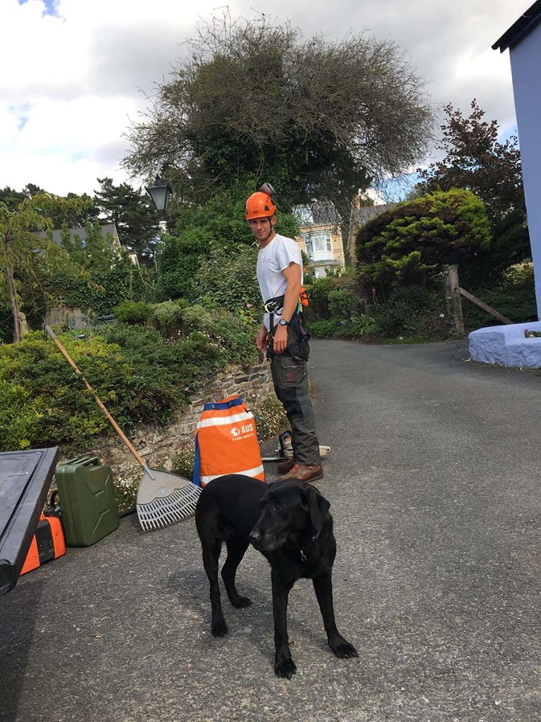 An old Hawthorn tree at grandma's