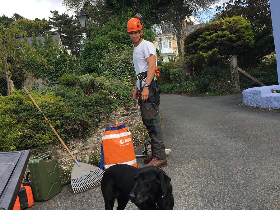 An old Hawthorn tree at grandma’s