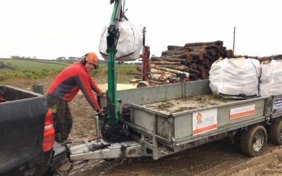 A new system to lift and deliver logs