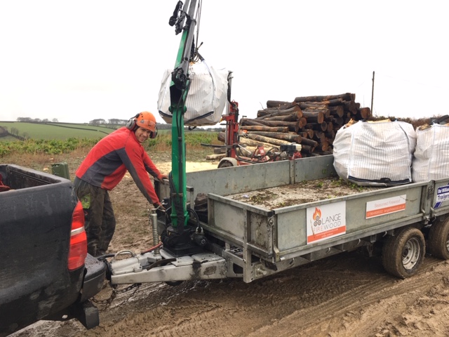 A new system to lift and deliver logs