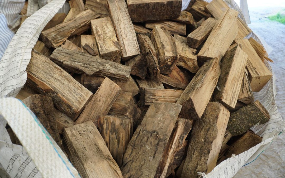 What’s the Best Firewood to Burn in North Devon? (Seasoned vs. Kiln Dried Explained)